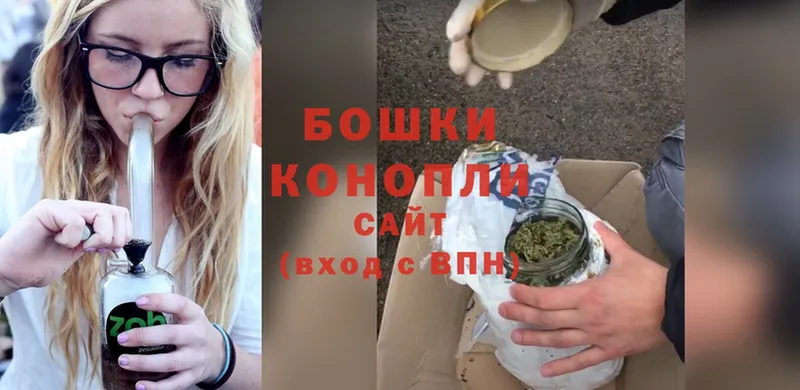 купить   Дорогобуж  Бошки марихуана White Widow 